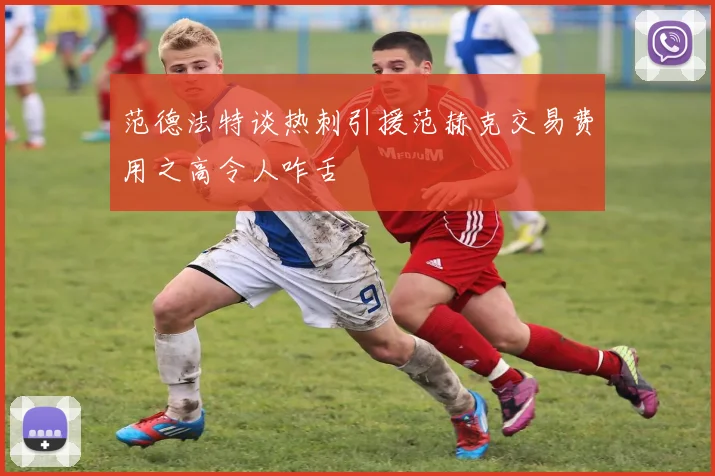 范德法特谈热刺引援范赫克交易费用之高令人咋舌